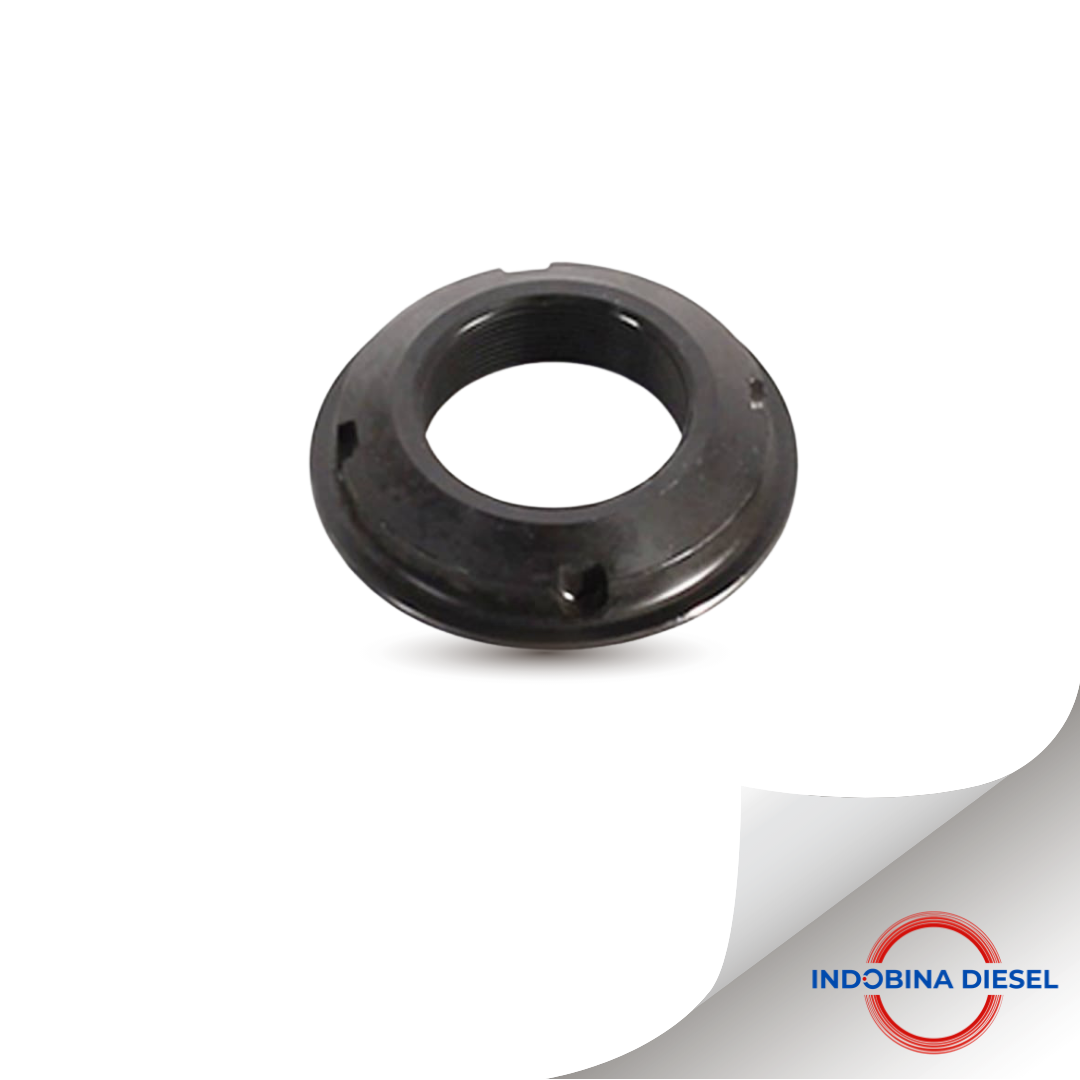 GROOVE NUT