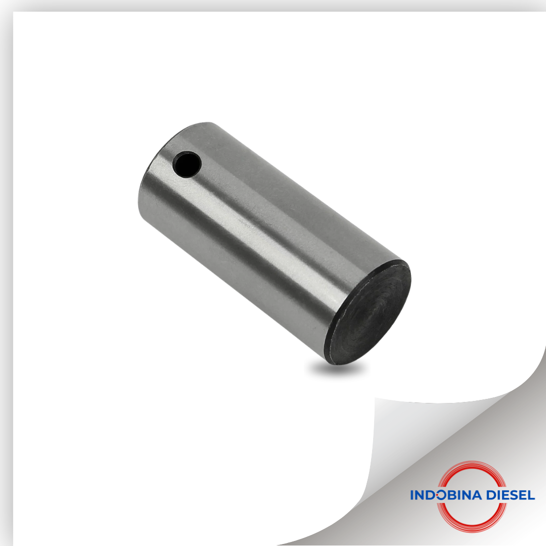 PIN BRAKE SHOE