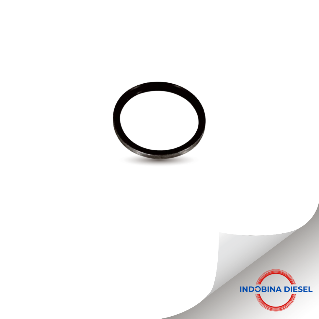 O-RING