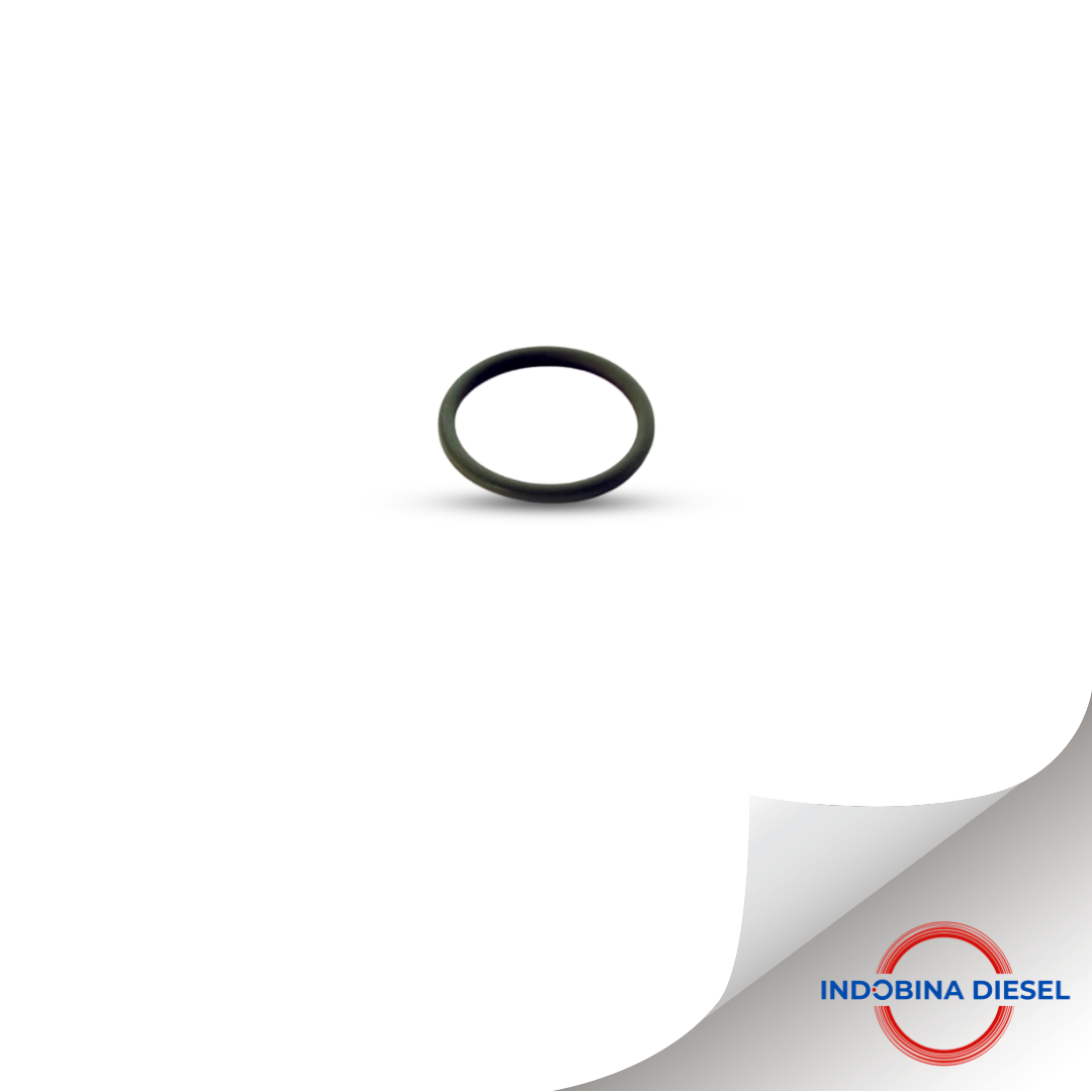O-RING