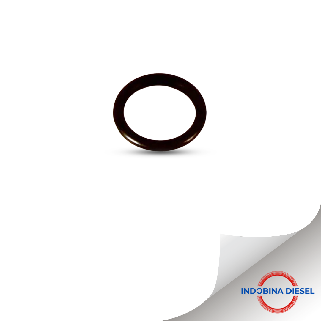 O-RING