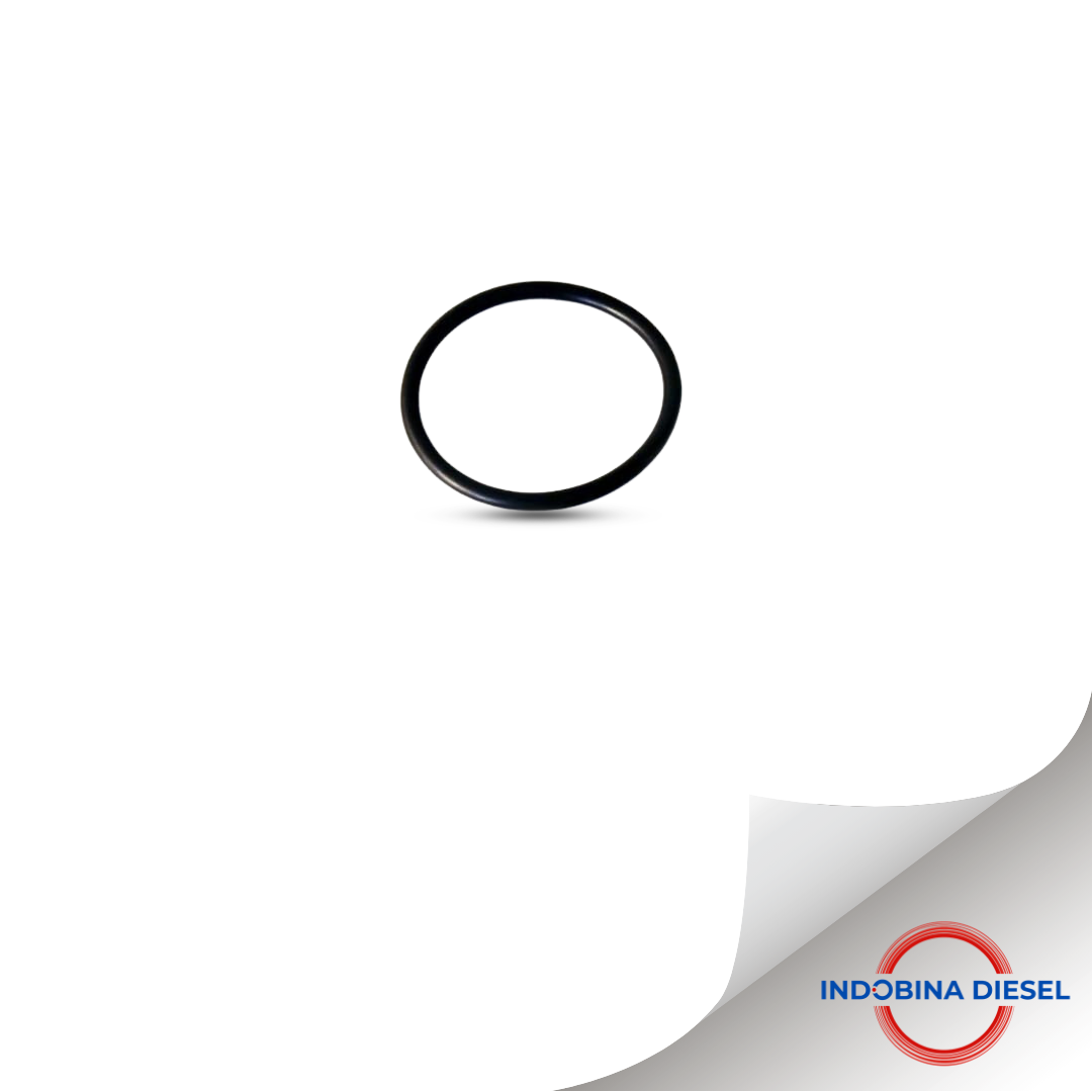 O-RING